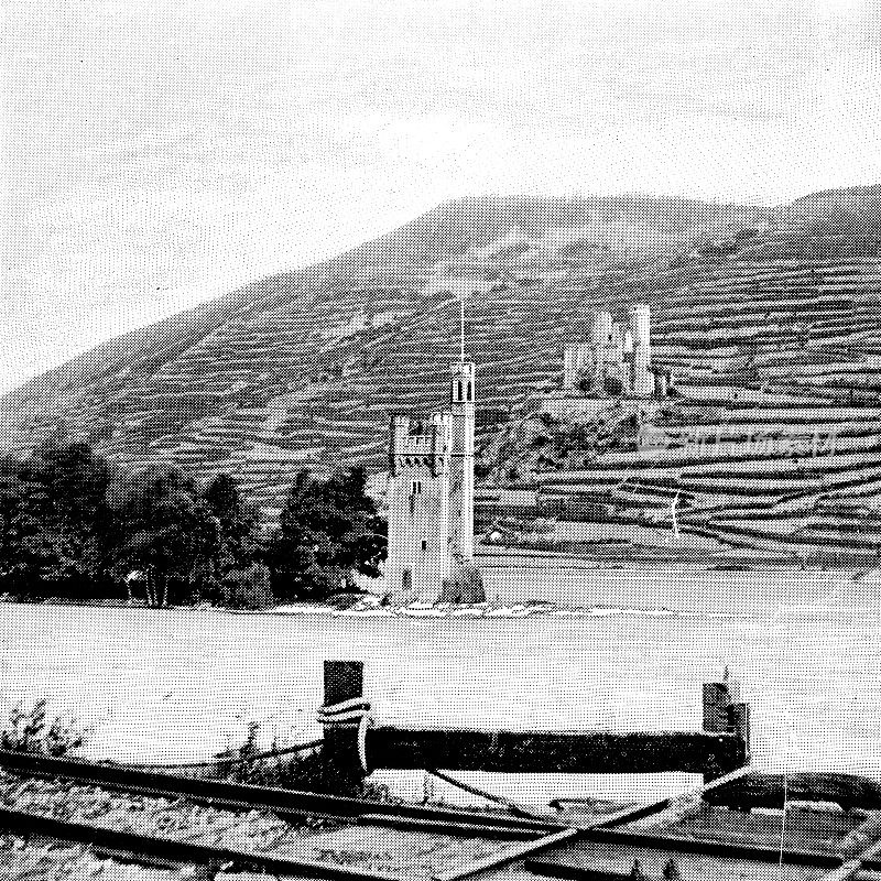 老鼠塔和埃伦费尔斯城堡遗址，位于德国黑塞的莱茵河畔Rüdesheim, 19世纪